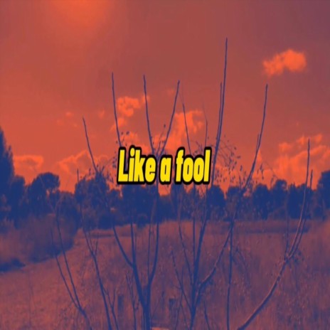 Like a Fool | Boomplay Music