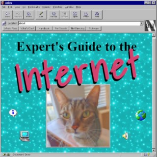 Expert's Guide to the Internet