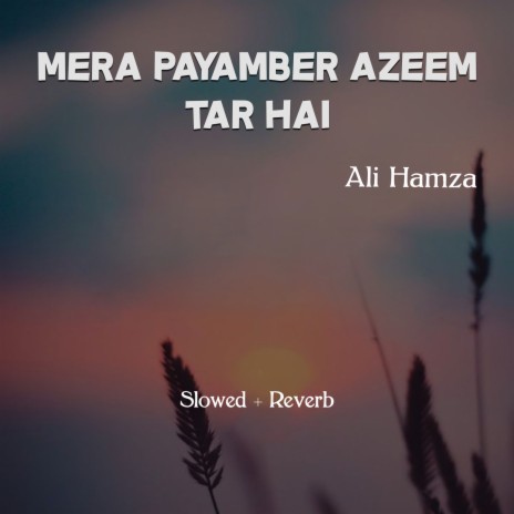 Mera Payamber Azeem Tar Hai Lofi | Boomplay Music