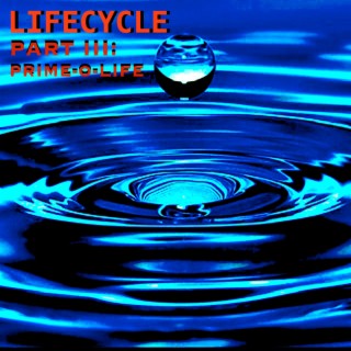 Lifecycle Part III: Prime-O-Life