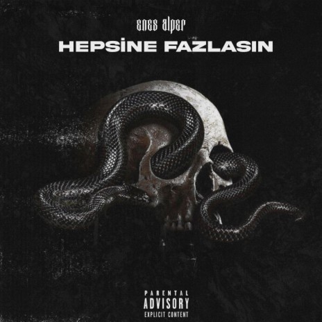 Hepsine Fazlasın | Boomplay Music