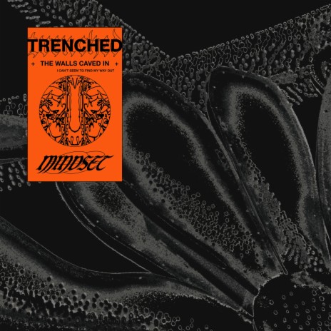 Trenched | Boomplay Music