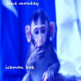 blue monkey