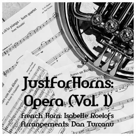 Vedro con mio diletto - Aria from 'Il Giustino' (French Horn Multitrack) ft. Dan Turcanu | Boomplay Music