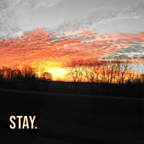 Stay. | Boomplay Music