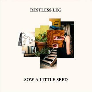 Sow A Little Seed lyrics | Boomplay Music