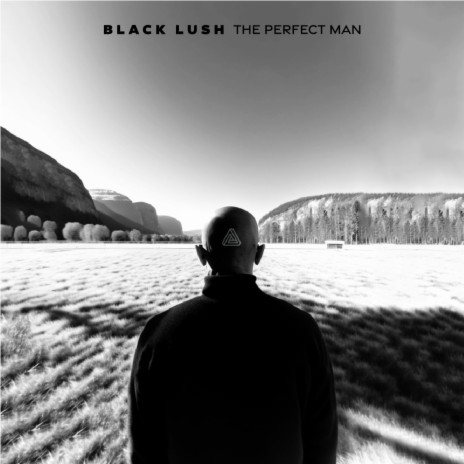 The Perfect Man | Boomplay Music