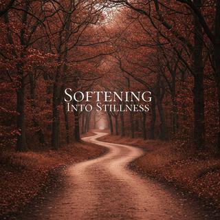 Softening Into Stillness: A Path to Calm