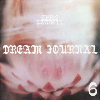 Dream Journal, Vol 6: Tiger Blood II