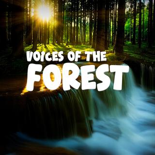 Voices of the Forest