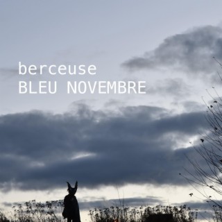 bleu novembre