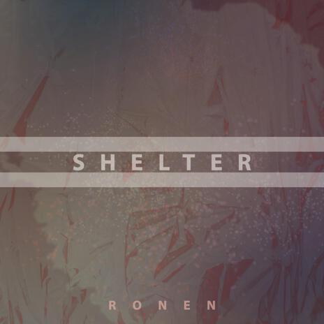 Shelter | Boomplay Music