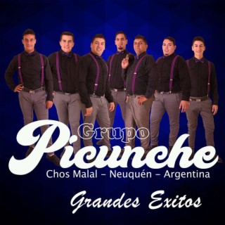 Grandes Exitos Picunches