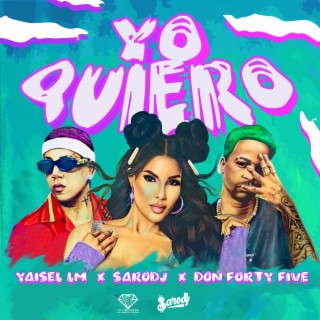 Yo Quiero (Remix) ft. Yaisel LM & Don Forty Five lyrics | Boomplay Music