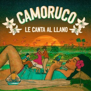 Camoruco le canta al llano