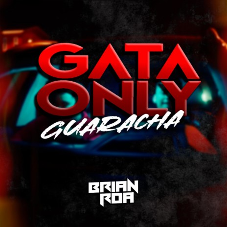 GATA ONLY GUARACHA ft. Axel Martinez | Boomplay Music