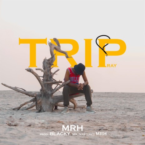 TRIP | Boomplay Music