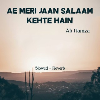 Ae Meri Jaan Salaam Kehte Hain Lofi