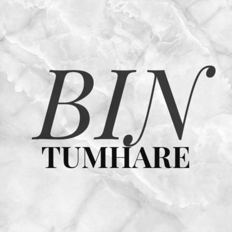 Bin Tumhare | Boomplay Music
