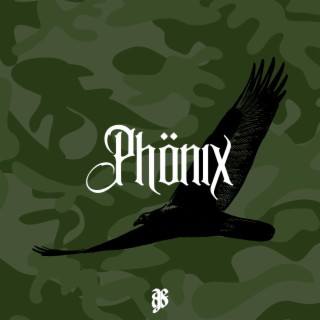 Phönix lyrics | Boomplay Music
