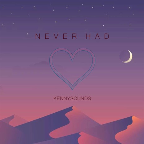 Never Had | Boomplay Music