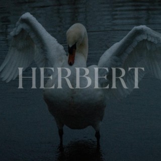 HERBERT