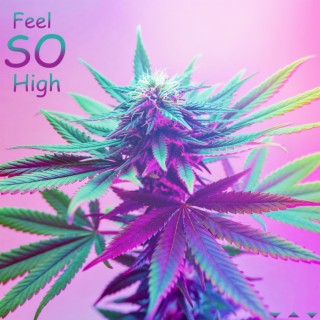 Feel So High