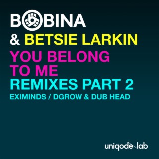 You Belong to Me (Remixes, Pt. 2)