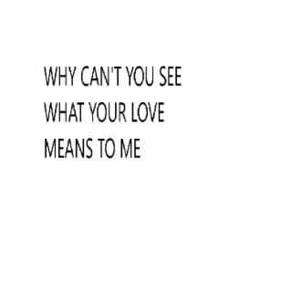 WHY CANT YOU SEE WHAT YOUR LOVE MEANS TO ME