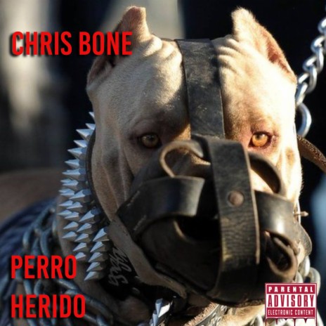 Perro Herido | Boomplay Music