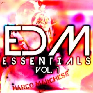 edm essentials my songs compilation
