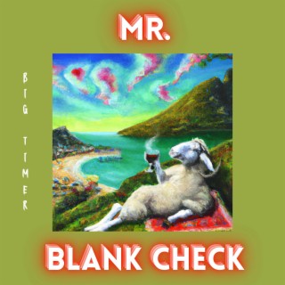 MR. BLANK CHECK