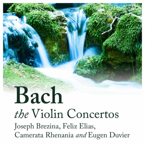 Concerto No. 1 in A Minor for Violin and Strings, BWV 1041: I. Allegro moderato ft. Eugen Duvier & Joseph Brezina | Boomplay Music