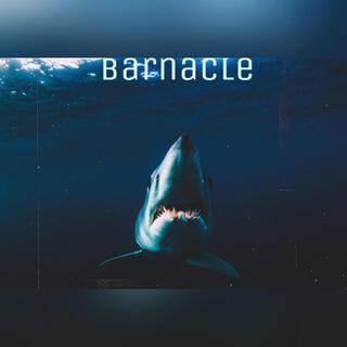 Barnacle