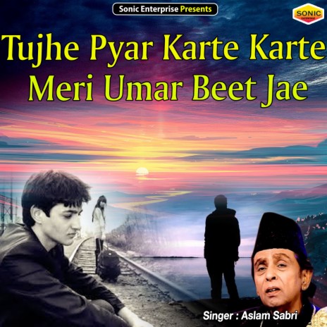 Tujhe Pyar Karte Karte Meri Umar Beet Jae (Ghazal) | Boomplay Music