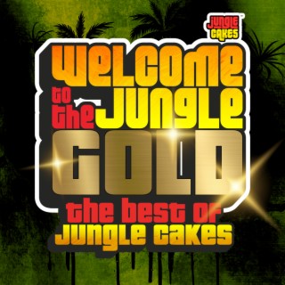 Welcome To The Jungle - Gold (The Best Of Jungle Cakes) - DJ Mix