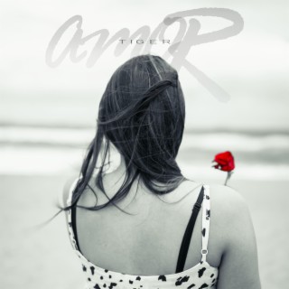 AMOR lyrics | Boomplay Music