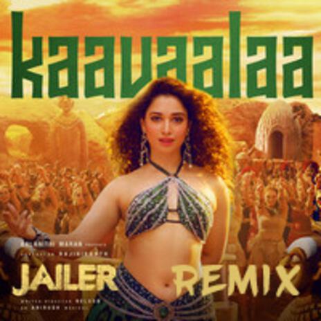 Kaavaalaa (Remix)