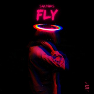 Fly lyrics | Boomplay Music