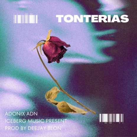 Tonterias