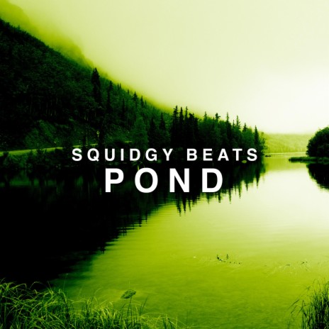 Pond | Boomplay Music