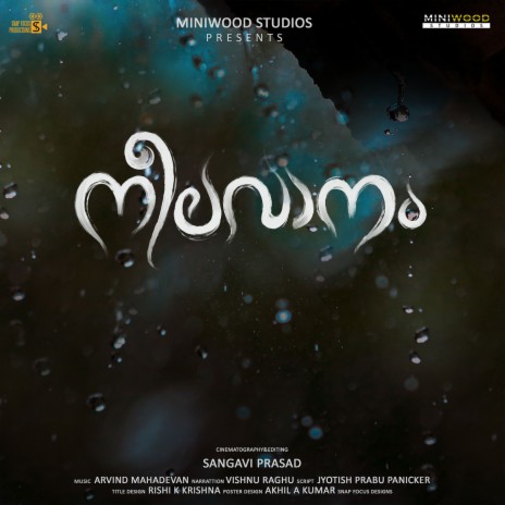 Neelavaanam | Boomplay Music