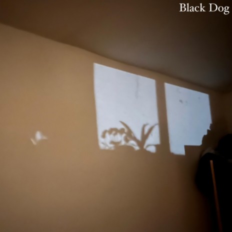 Black Dog | Boomplay Music