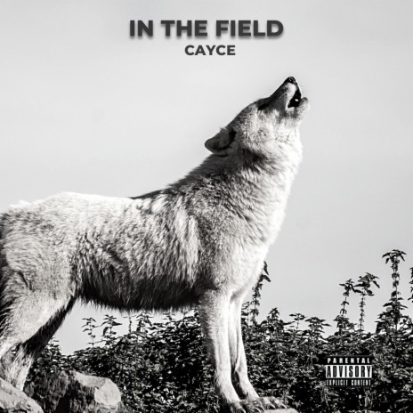 In The Field (Extended Version) | Boomplay Music