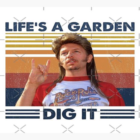 Joe Dirt | Boomplay Music