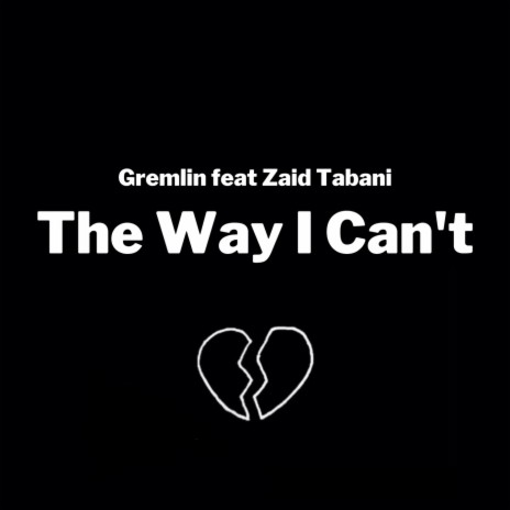 The Way I Can't (feat. Zaid Tabani) | Boomplay Music