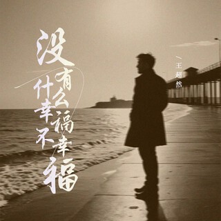 没有什么幸福不幸福 lyrics | Boomplay Music