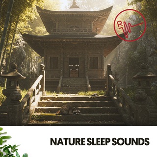 Nature Sleep Sounds: Serene Slumber Symphony