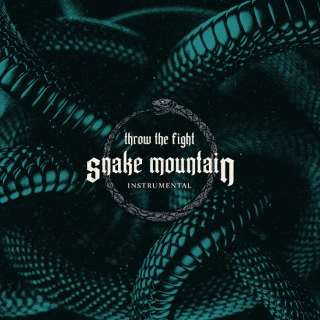 Snake Mountain (Instrumental) | Boomplay Music