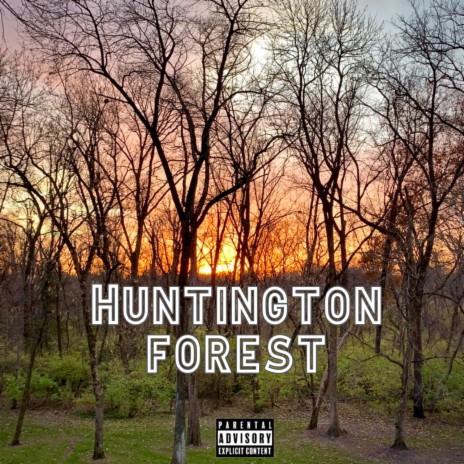Huntington Forest